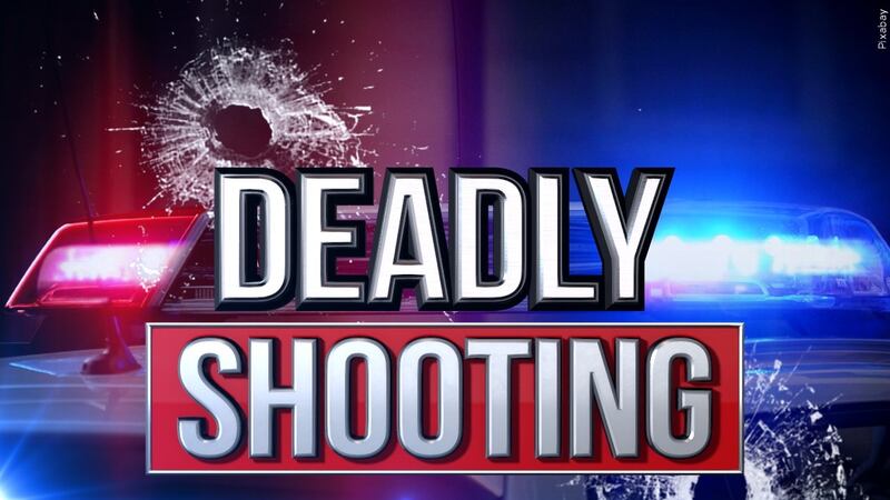 Witnesses told state police that 27-year-old Jaquale Mitchell and 25-year-old Anfernee Neal of...