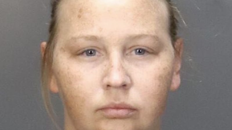 Sarah Nicole Louis pleaded guilty to third-degree felony theft.