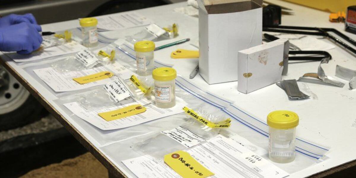 Many CWD testing options available for 2018-19 deer season