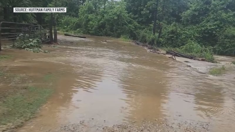 A northeast Arkansas farm family says repeated flooding is putting their livelihood on the line.