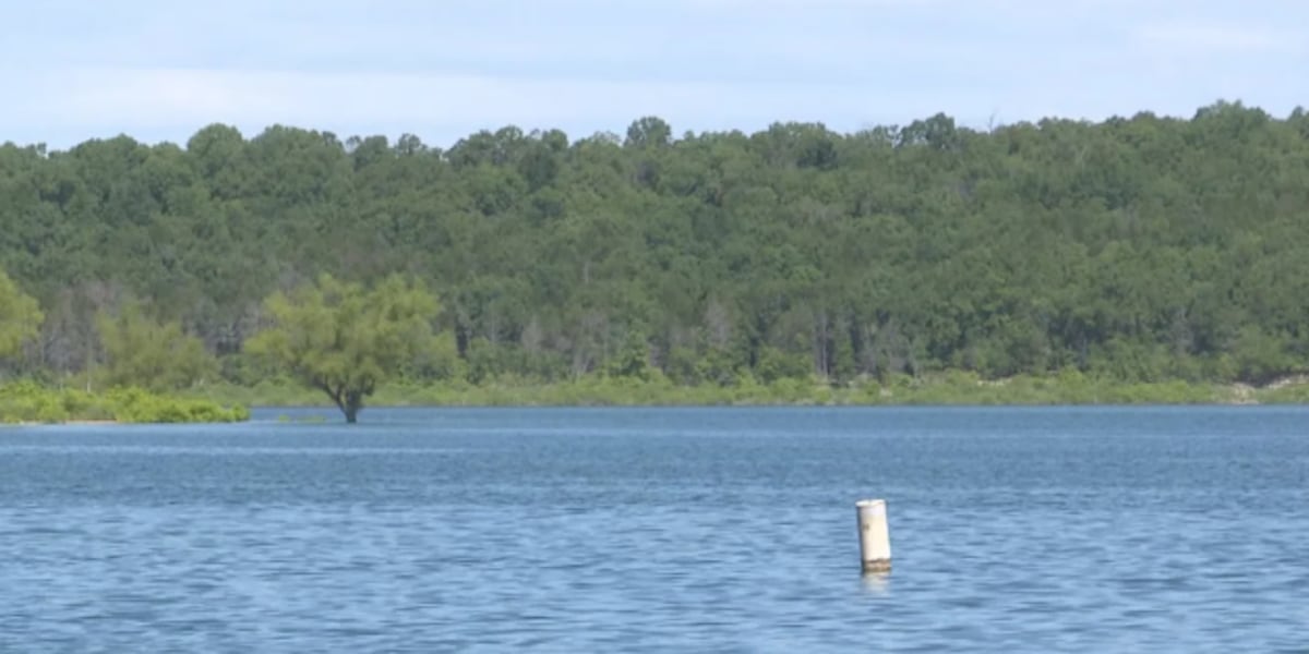 Norfork Lake swim beach closed due to high E. coli levels