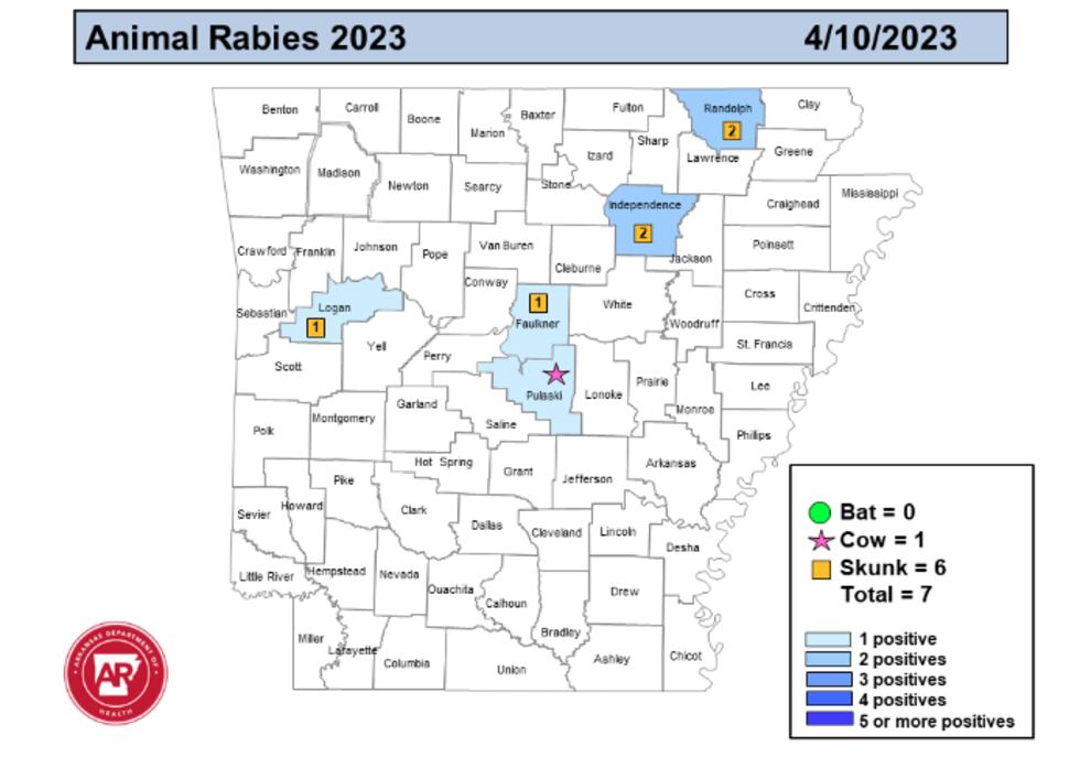 Rabies in Region 8: What you need to know