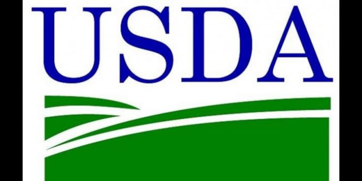 USDA offers disaster assistance to Arkansas farmers impacted by winter storms