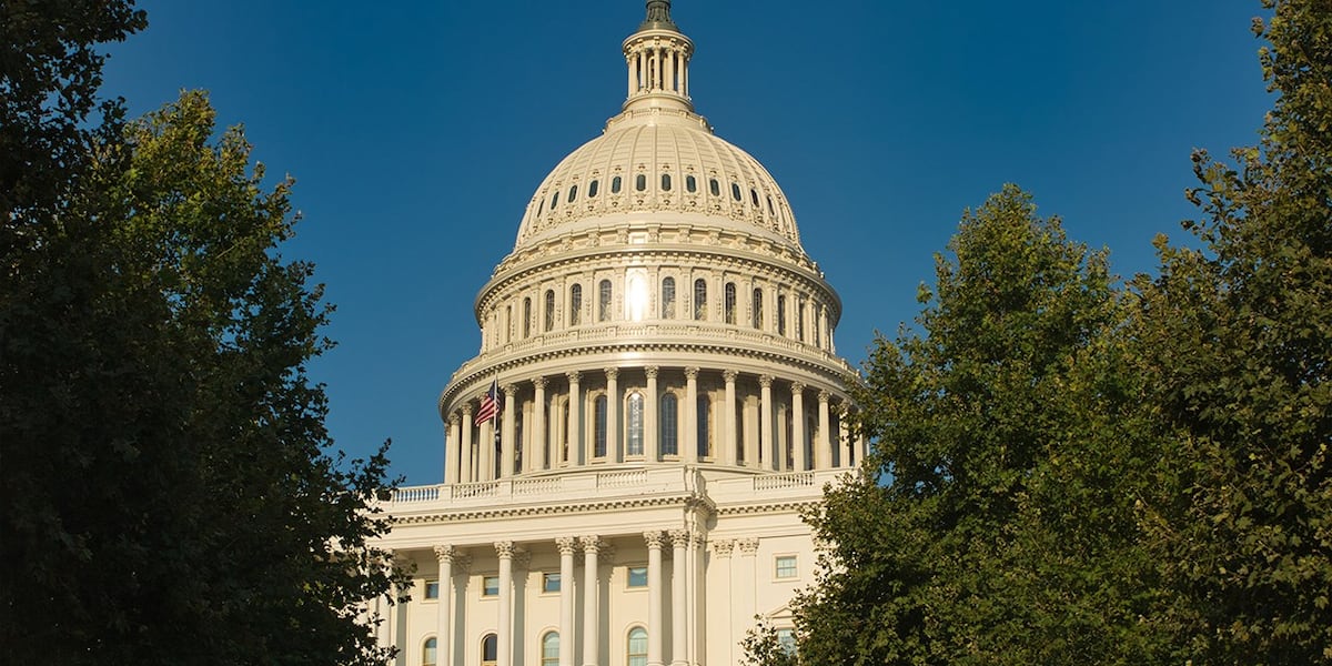 Sen. Cotton Proposes Bill Empowering Sites to Shoot Down Unauthorized Drones