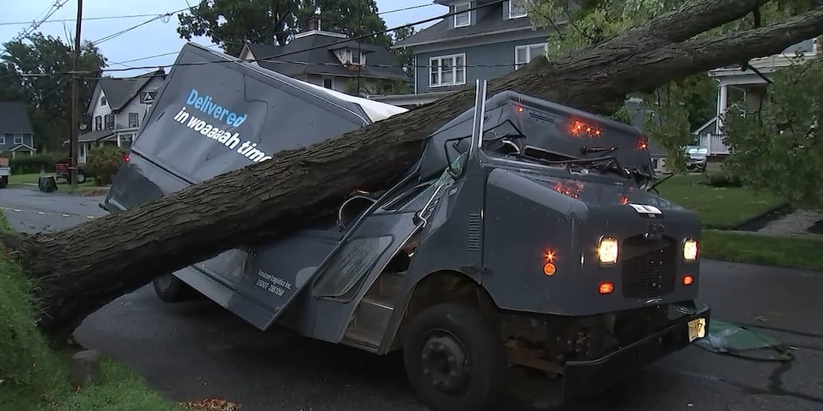 Massive fallen tree crushes Amazon delivery truck, trapping worker inside