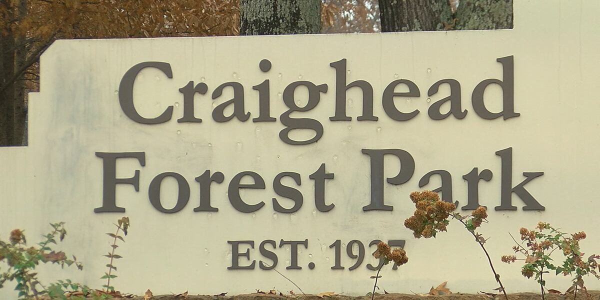 Craighead Forest Park makes changes for ‘new’ elbow tree, lighting