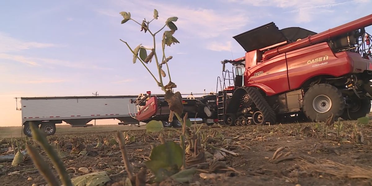 Farmers, ranchers eligible for federal disaster assistance