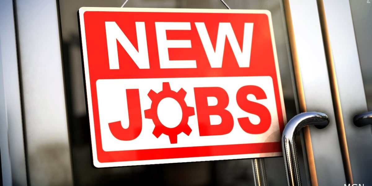 Steel processing plant to bring 35 jobs to Mississippi County