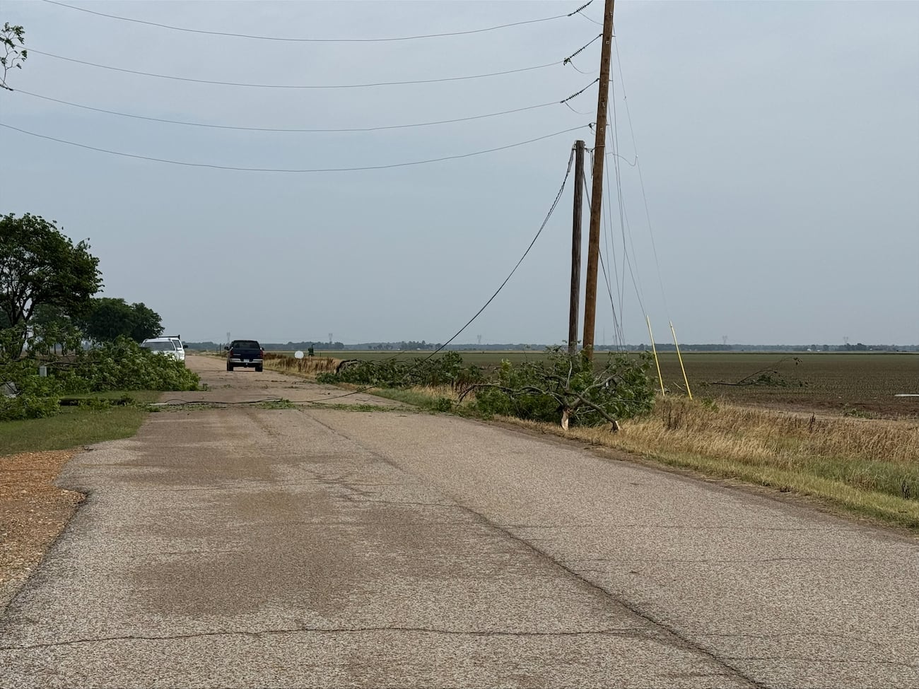 Storms topple power lines