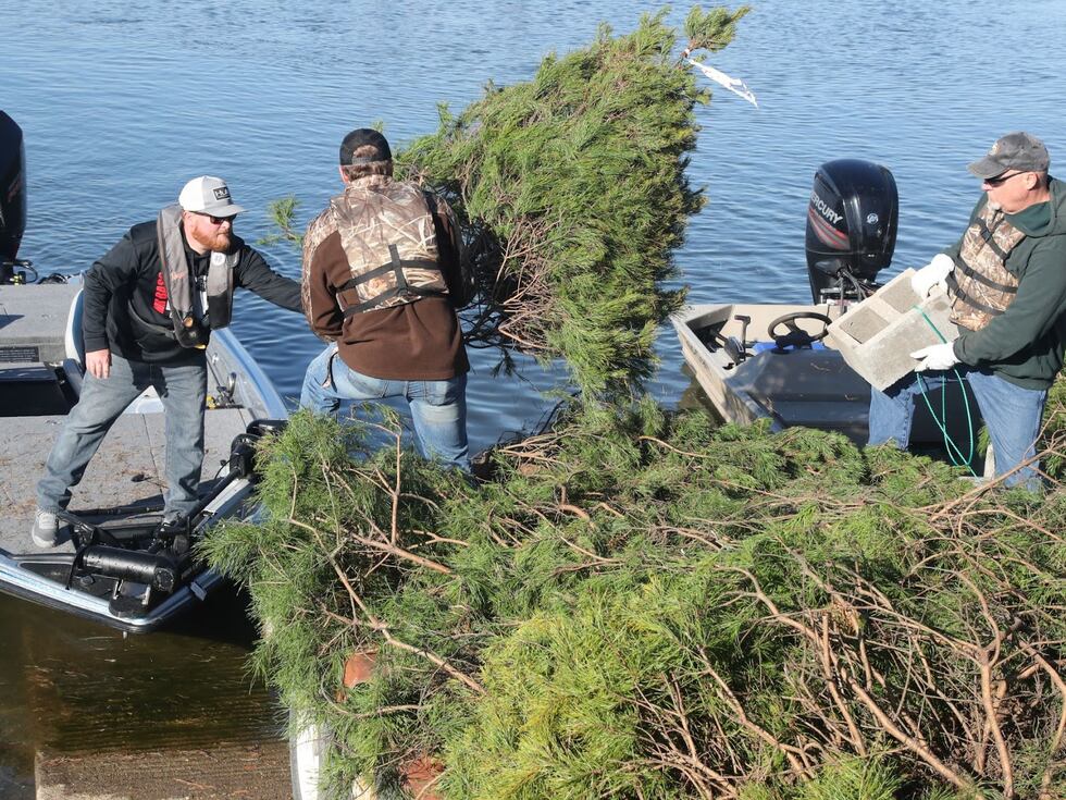 Donald Roufa Used Christmas trees needed for AGFC’s Habitat for the Holidays program