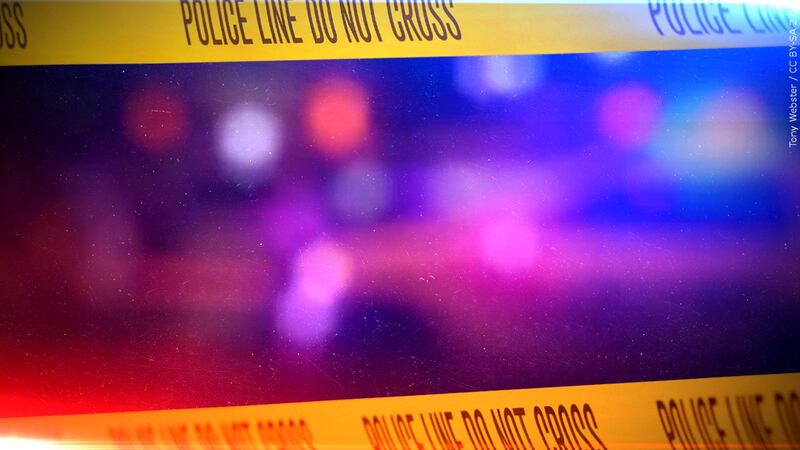 The New Madrid Police Department is investigating after several pets in a local neighborhood...