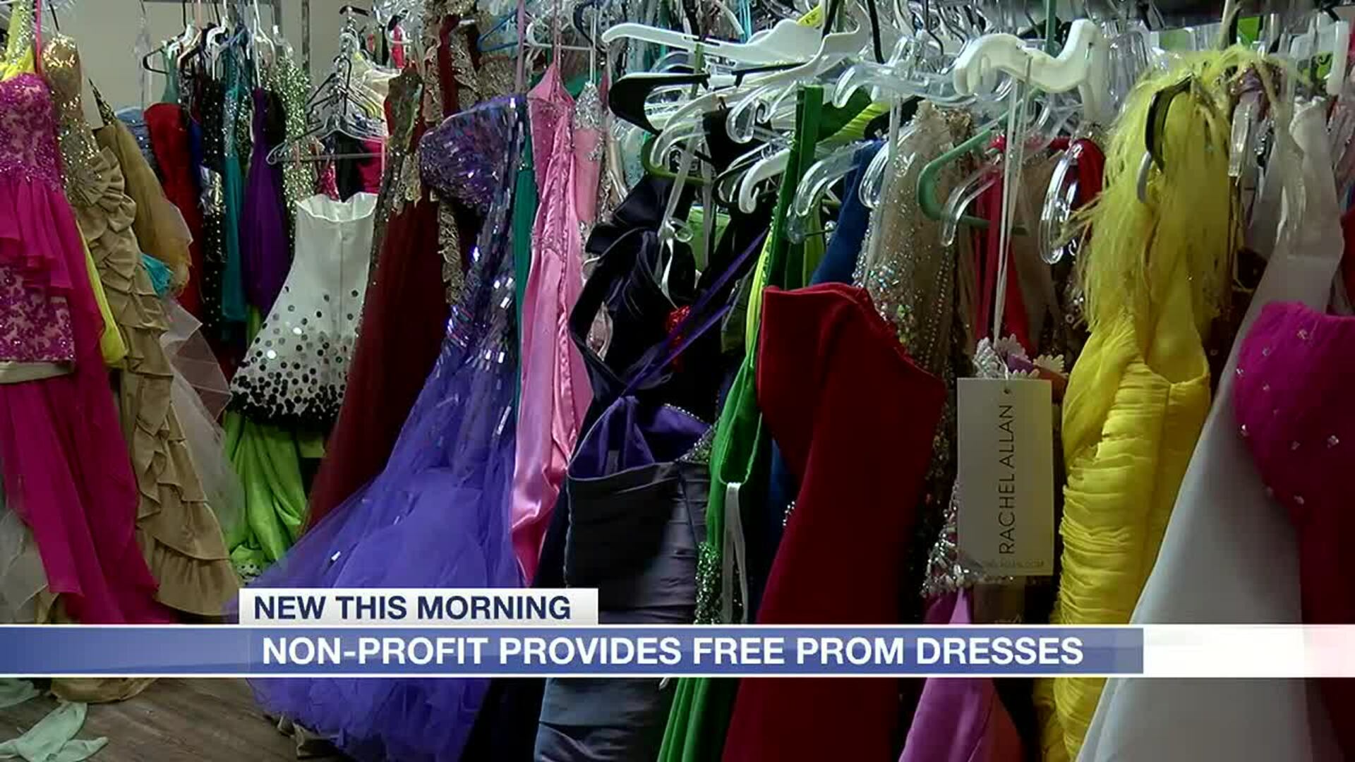 Take a dance in a free prom dress Take a dance in a free prom dress