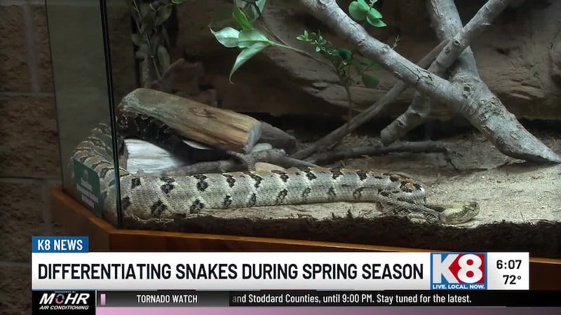 From K8 News at Six